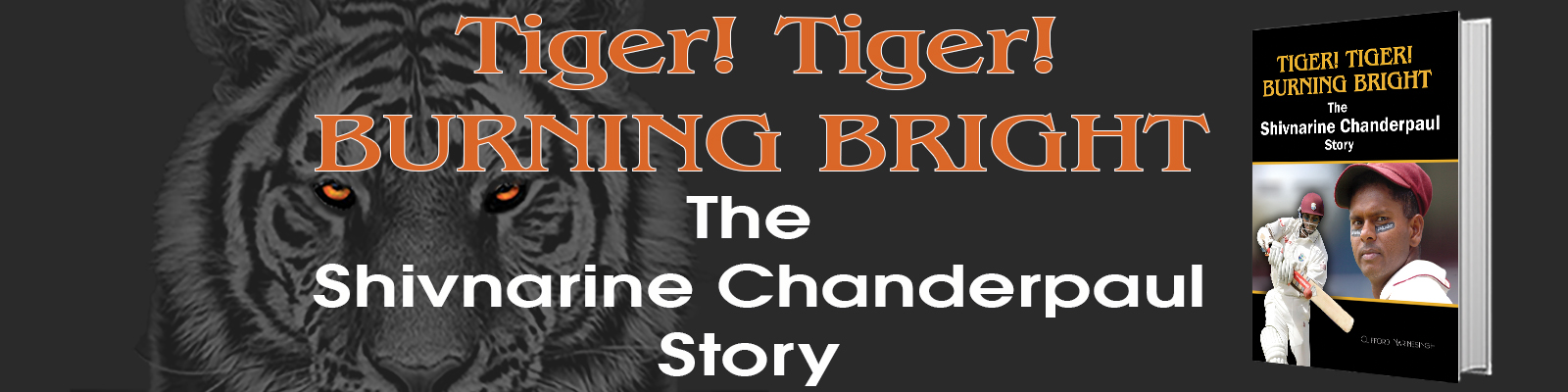 1663340574TigerTiger2